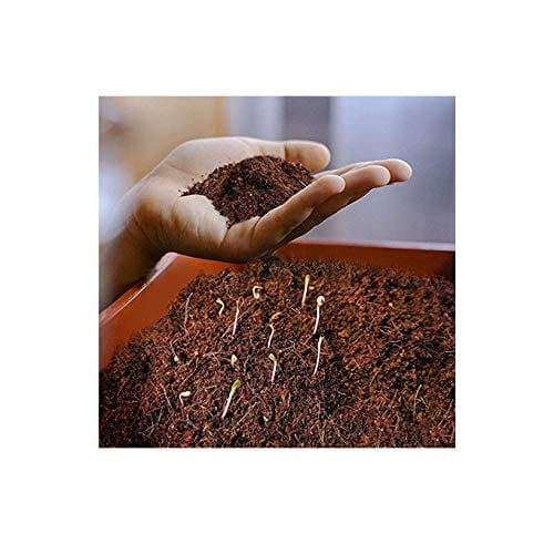 Mats Avenue Compressed Natural Coco Peat Block (5 KG Expand Up to 75 Liters)