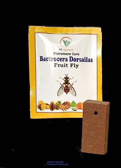 Sk Agrotech Bactrocera Dorsailas- Fruit Fly pheromone Insect Lure & Disposable Glass Trap