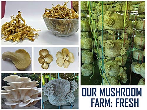 Shiviproducts Mushroom Vermicompost