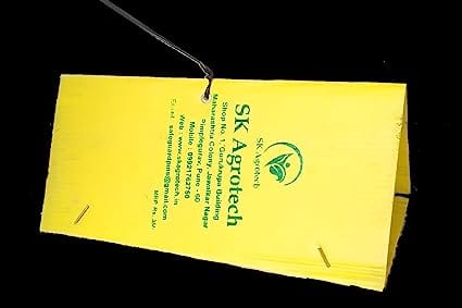 Sk Agrotech Delta Sticky Insect pheromone Trap Used for brinjal Shoot Borer & Tomato Leaf Miner