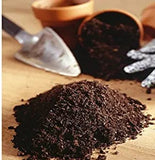 VGreen Garden Potting Soil (Pack of 2 - 2kg Each)