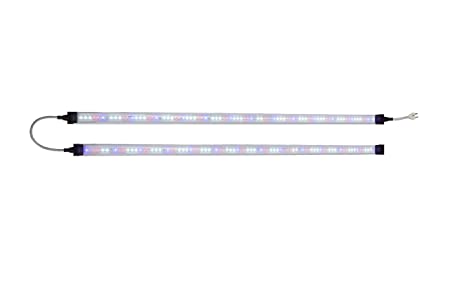 Pindfresh Full Spectrum Hydroponic Grow Light (16480 K)