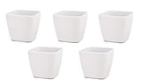 VGreen Garden Square Table Top Plastic Planter (Set of 6)