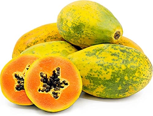 RPG European Variety 'Amazone' Carica Papaya Fruit Seeds (20 Seeds)