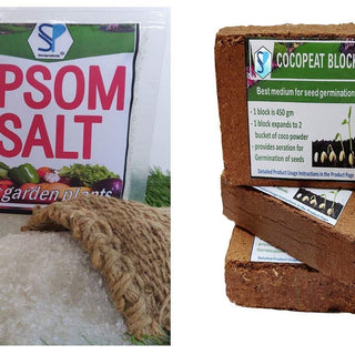 Epsom Salt and Cocopeat Block Free Coriander Seeds