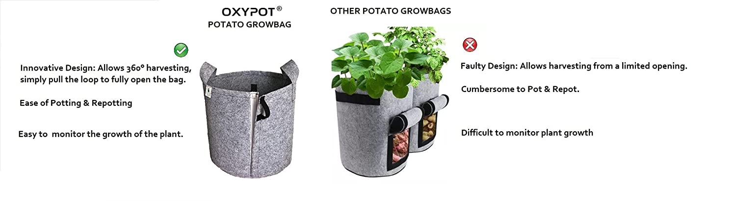Oxypot 350 GSM Geofabric Potato Grow Bag (14x14 Inches)- Pack of 3