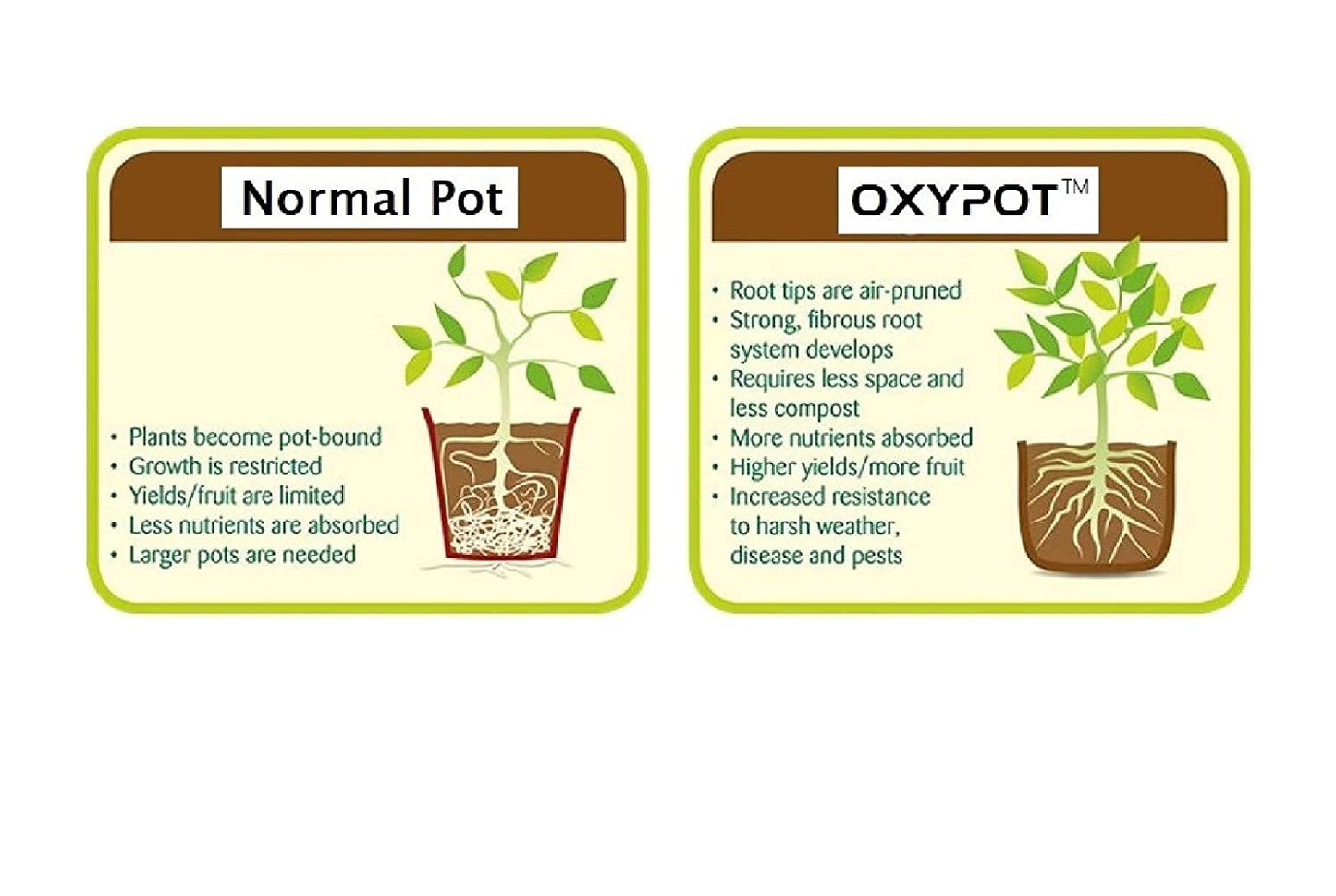 Oxypot Air Pruning Geo Fabric Grow Bags (6.5 X 7.25 Inches), Pack of 10