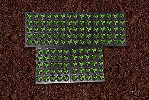 Mats Avenue Plastic Reusable Seedling Tray with 25 Holes (Pack of 5)