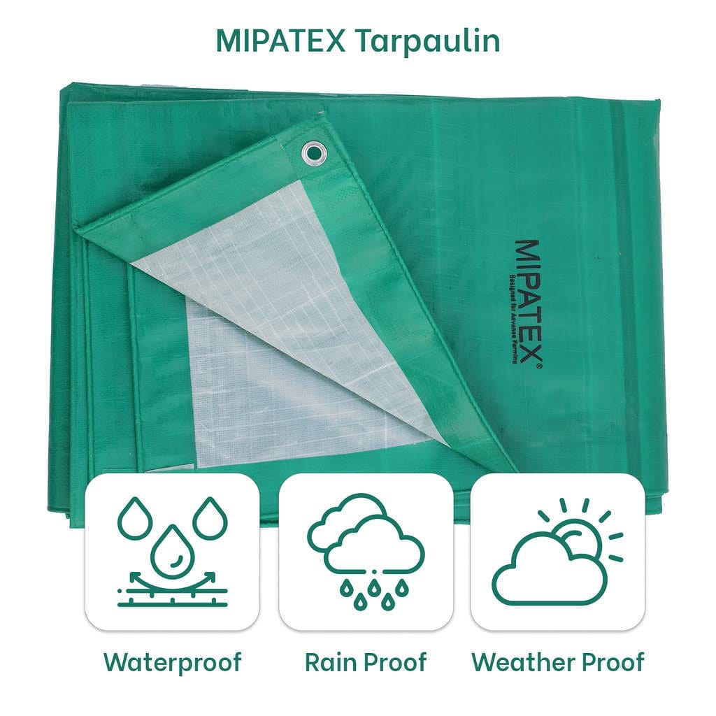 Mipatex Tarapaulin Sheet (200 GSM, Green/ White)