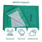 Mipatex Tarapaulin Sheet (200 GSM, Green/ White)
