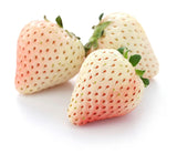 RPG Japanese White Strawberry 'White Asuka Ruby' Seeds (30 Seeds)
