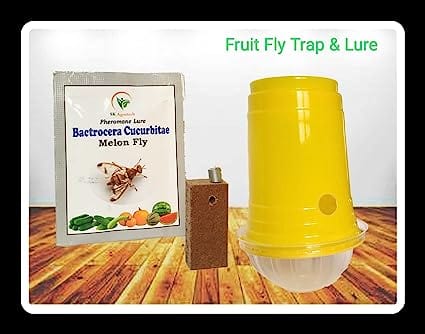 Sk Agrotech Bactrocera Cucurbitae- Melon Fruit Fly pheromone Lure & Disposable Glass Trap