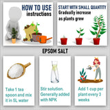 Shiviproducts NPK Fertilizer (300 gm) + Epsom Salt (150 gm)