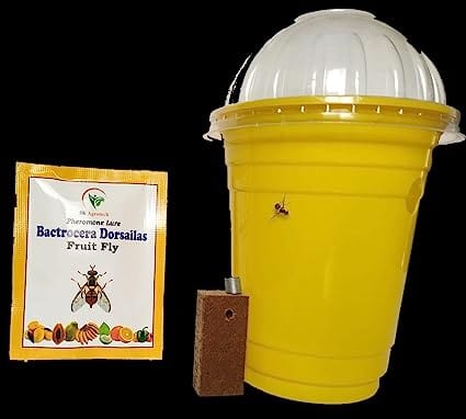 Sk Agrotech Bactrocera Dorsailas- Fruit Fly pheromone Insect Lure & Disposable Glass Trap
