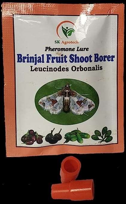 Sk Agrotech Leucinodes Orbonalis - Brinjal Shoot & Fruit Borer pheromone Lure & Delta Trap