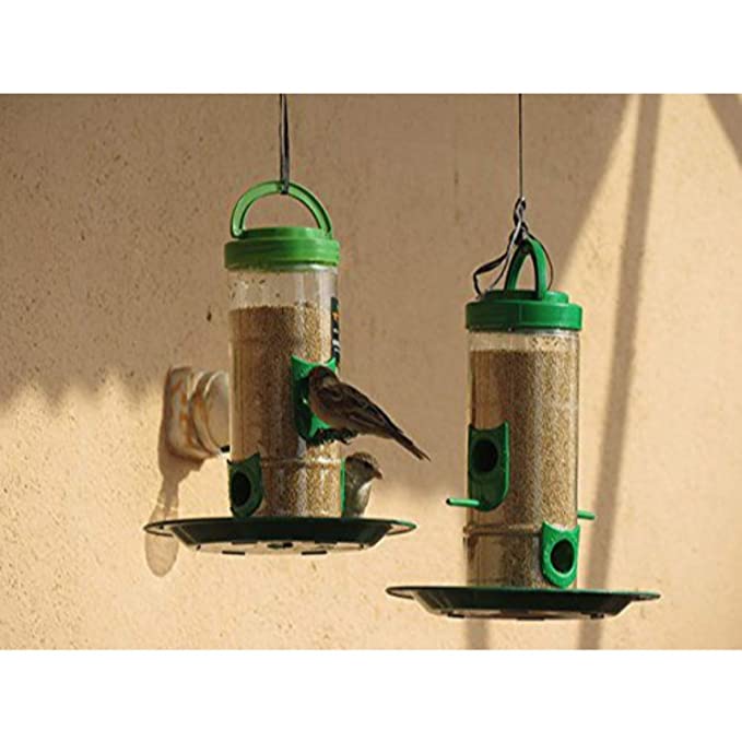 Amijivdaya Hut Bird Feeder With Wall Mount Stand (Medium, Blue)