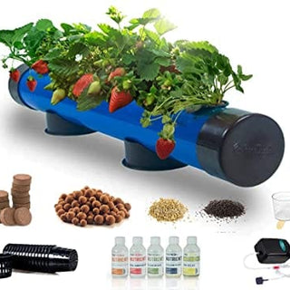 Pindfresh Hydroponic Kit For Home (Seeds Included)