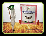 Sk Agrotech Spodoptera Littoralis - Cotton leafworm pheromone Lure & Funnel Trap, Used in All Crop