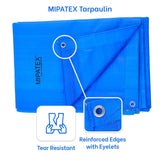 Mipatex Tarapaulin Sheet (3 Feet, 200 GSM, Blue)