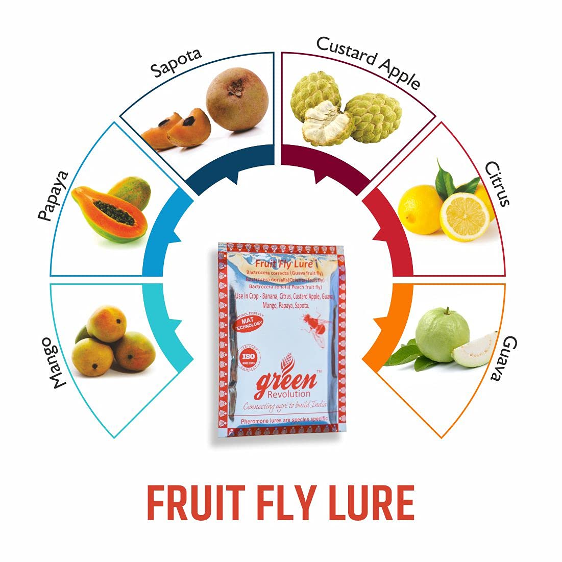 Green Revolution Pheromone Trap With Fruit Fly Pheromone Lure