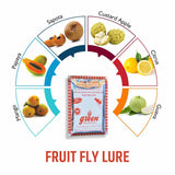 Green Revolution Pheromone Trap With Fruit Fly Pheromone Lure