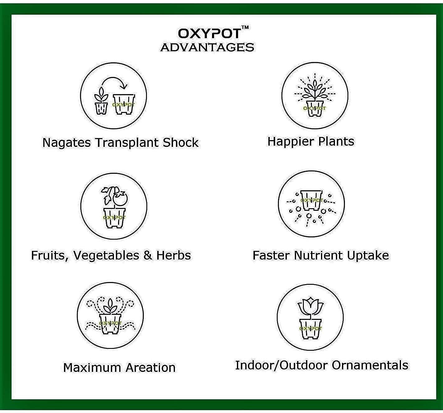 Oxypot Ysprout Geo Fabric Grow Bags (10x10 Inches, Grey)- Pack of 10
