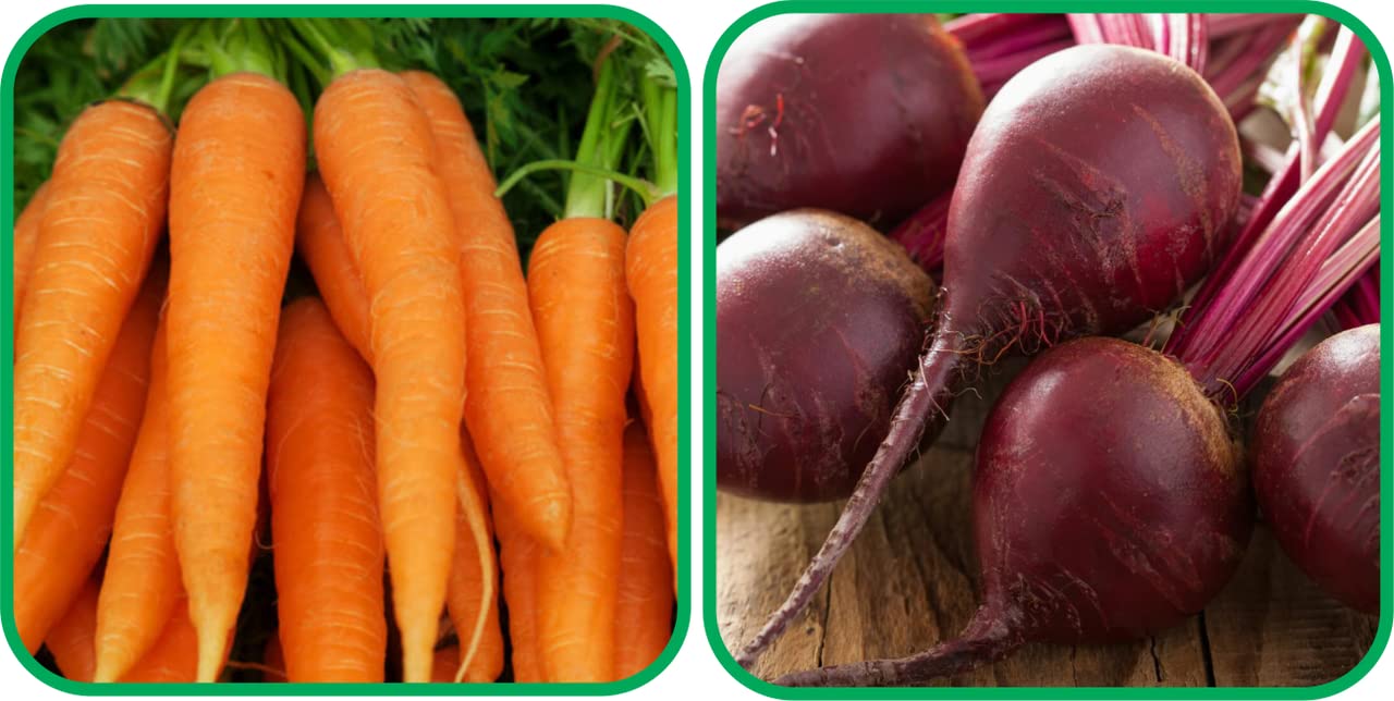 Aero Seeds Beetroot (100 Seeds) and Carrot Vegetable Seeds (100 Seeds) - Combo Pack