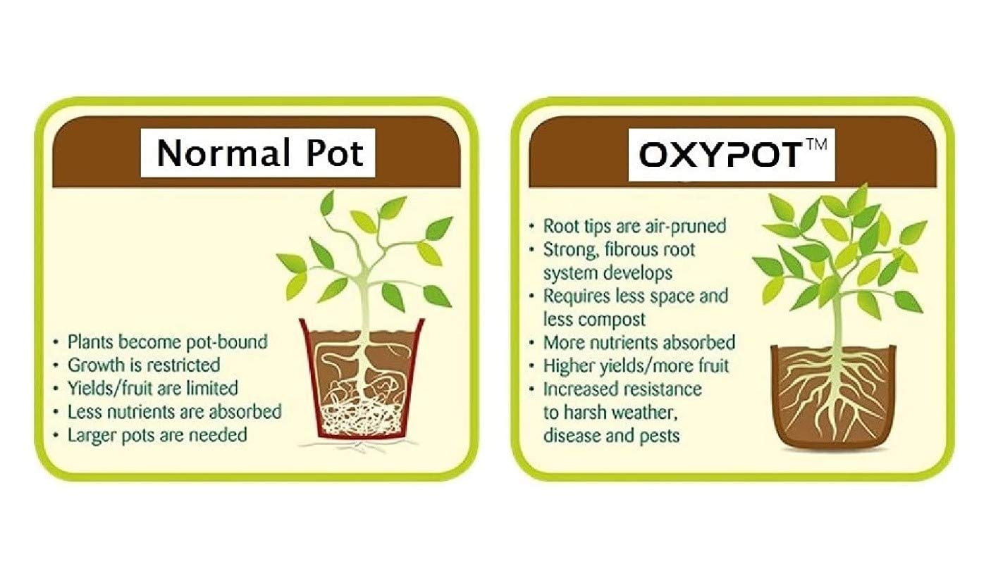 Oxypot 400 GSM Geo Fabric Grow Bags (18x9x6 Inches, Grey)- Pack of 3