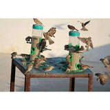 Amijivdaya Hut Bird Feeder With Wall Mount Stand (Small) - 2 Pieces