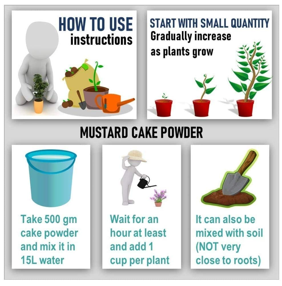 Shiviproducts Mustard Cake Powder and Cocopeat Block