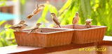 Om Craft Villa Terracotta Earth Brown Bird Bath (8x8 Inches) - Set of 2