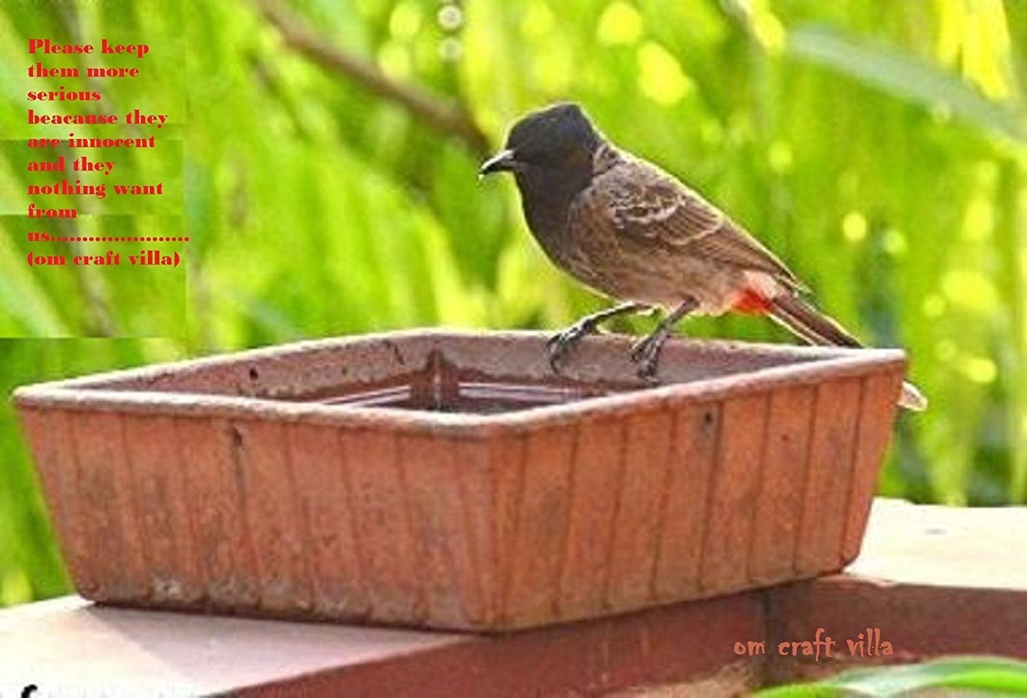 Om Craft Villa Terracotta Earth Brown Square Bird Bath