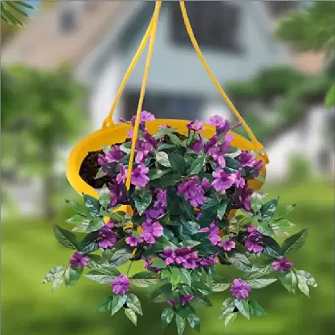 VGreen Garden Multicolored Hanging Planter Set of 6