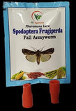 Sk Agrotech Spodoptera Frugiperda- Fall Armyworm pheromone Lure & Funnel Trap Used in Maize Crop
