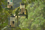 Amijivdaya Bird Feeder With Hut (Small, Green)