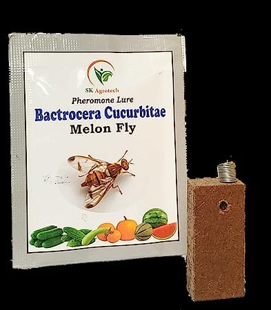 Sk Agrotech Bactrocera Cucurbitae- Melon Fruit Fly pheromone Lure & Disposable Glass Trap
