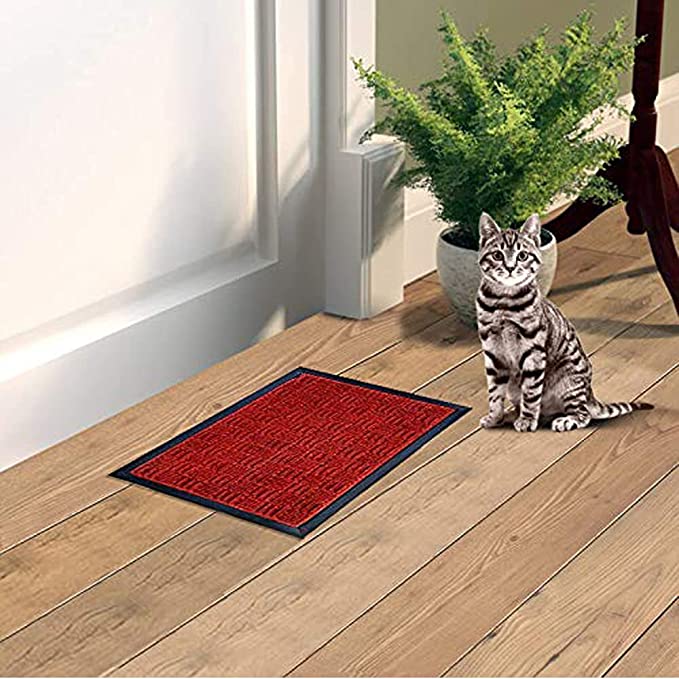 Mats Avenue PP and Rubber Backed Molded Patterned Doormat (40x60cm), Red