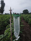 Sk Agrotech Spodoptera Littoralis - Cotton leafworm pheromone Lure & Funnel Trap, Used in All Crop