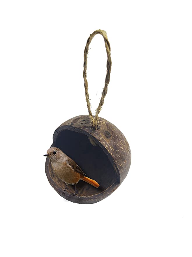 Mats Avenue Open Bird Feeder Made of Coconut Shell (Hand Crafted)