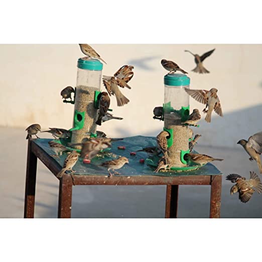 Amijivdaya Bird Feeder With Wall Mount Stand (Large) - 2 Pieces