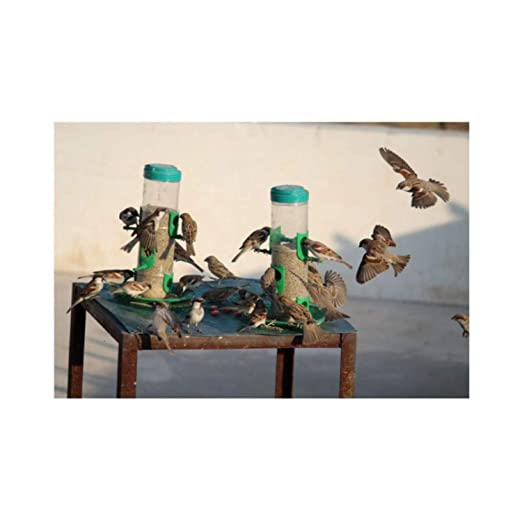 Amijivdaya Bird Food Feeder With Hut (Large) - Pack Of 6