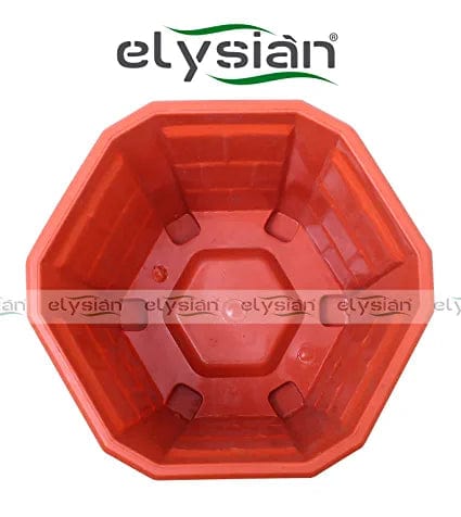 Elysian Heavy Duty Hexagonal Shape Plastic Pot (12 cms), Brown