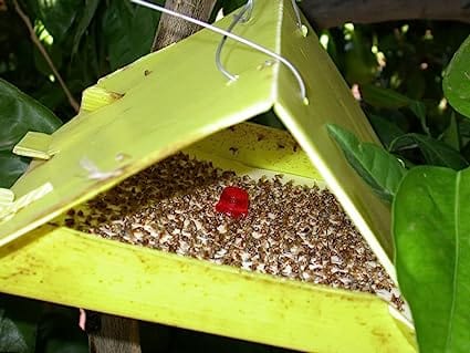 Sk Agrotech Delta Sticky Insect pheromone Trap Used for brinjal Shoot Borer & Tomato Leaf Miner
