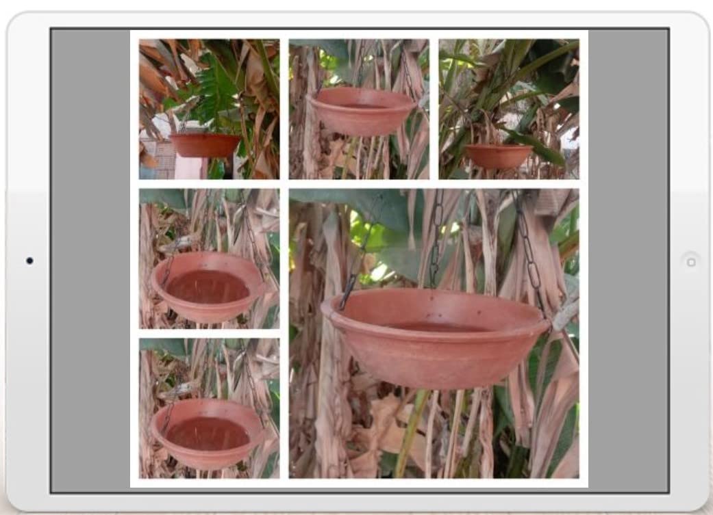 Om Craft Villa Earthenware Bird Bath/Bird Water Feeder