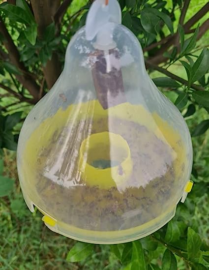 Sk Agrotech Mac Phill Insect pheromone Trap