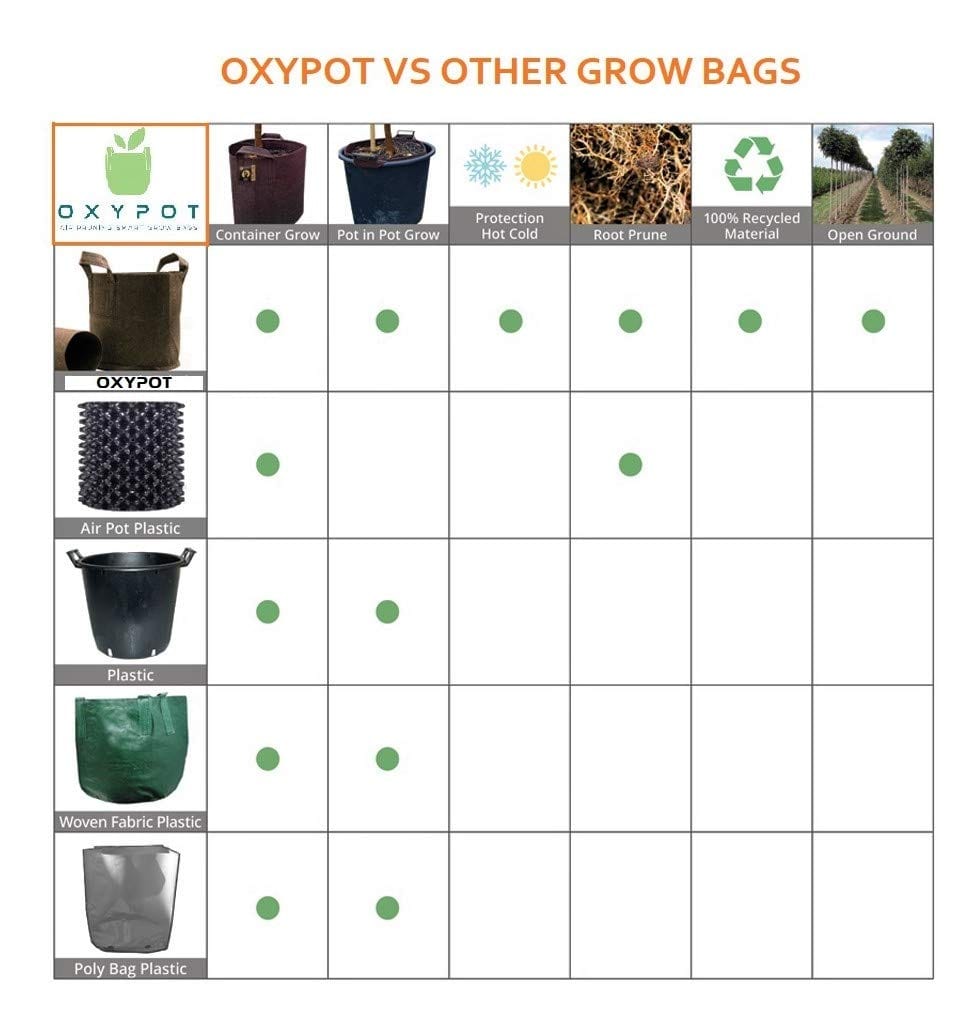 Oxypot Geo Fabric Grow Bag (10 x 3.5 Inches)- Pack of 3