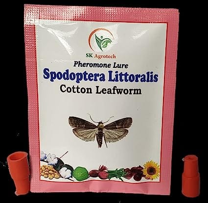 Sk Agrotech Spodoptera Littoralis - Cotton leafworm pheromone Lure & Funnel Trap, Used in All Crop