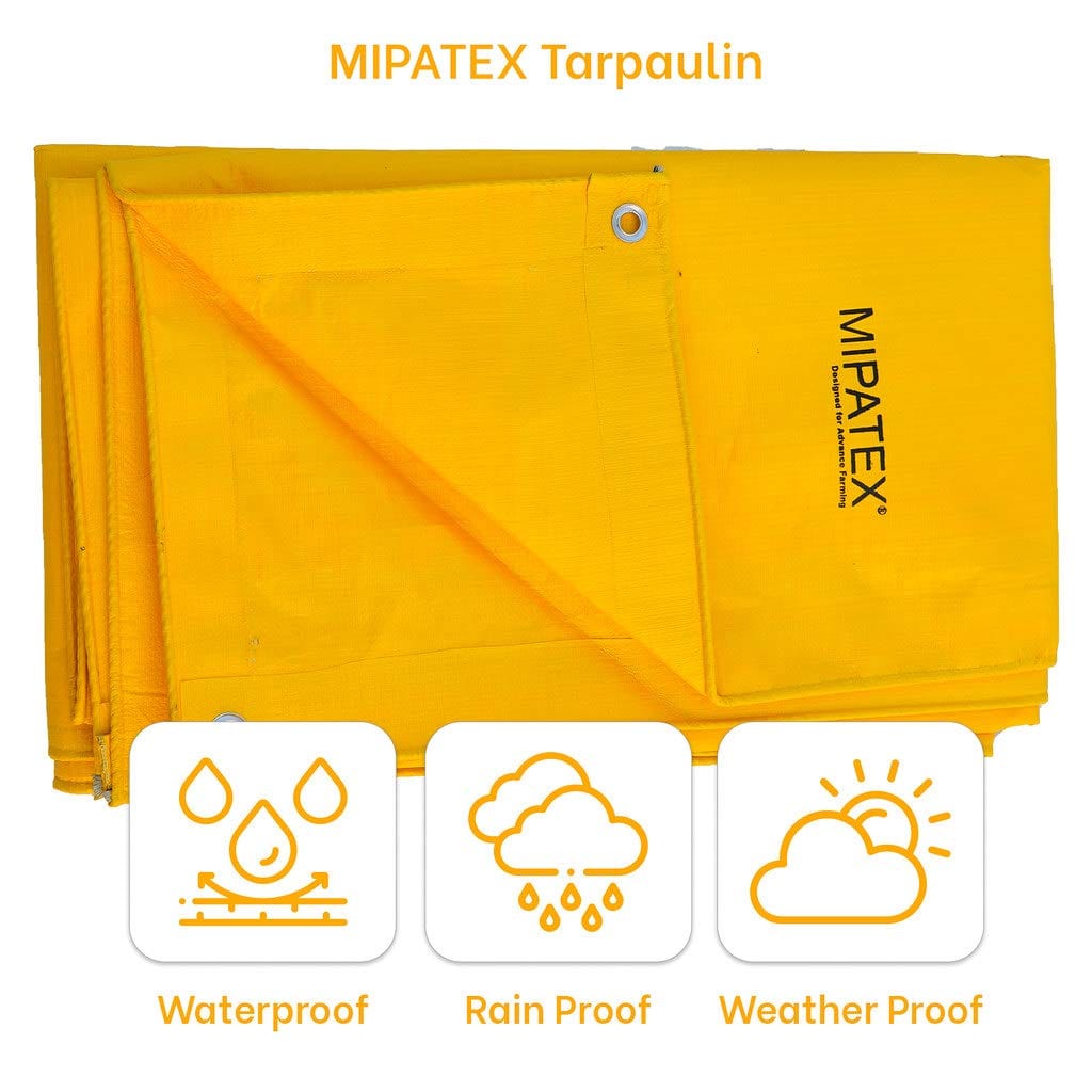 Mipatex Tarapaulin Sheet (40ft x 30ft, 200 GSM, Yellow)