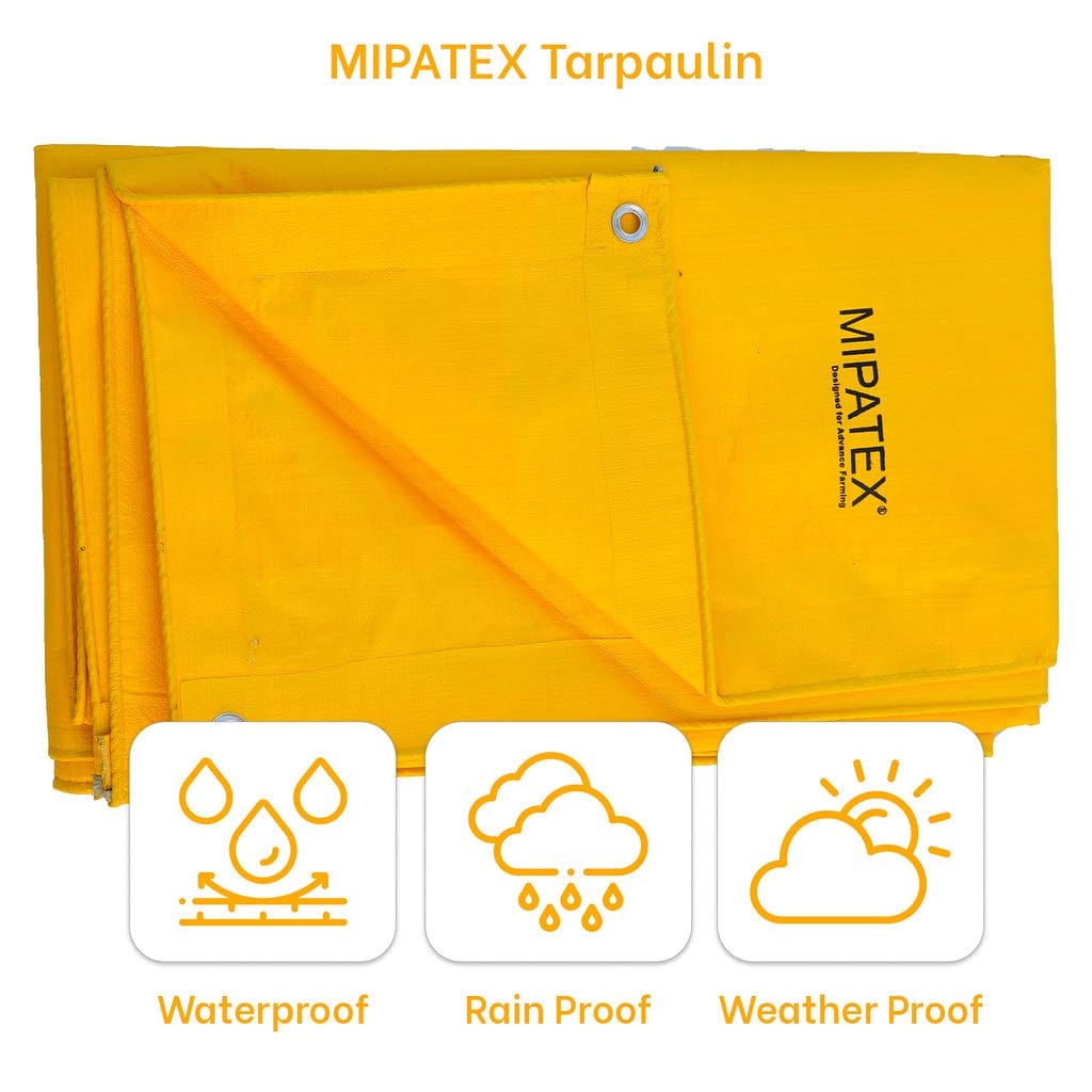 Mipatex Tarapaulin Sheet With Rope (130 GSM, Yellow)