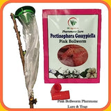 Sk Agrotech Pectinophora Gossyiella- Pink Bollworm Pheromone Lure & Funnel Trap